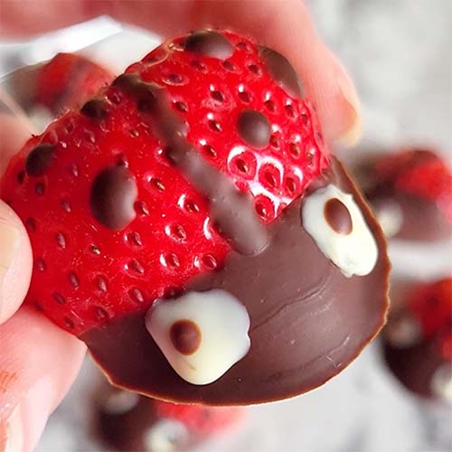 Strawberry Lady Bugs